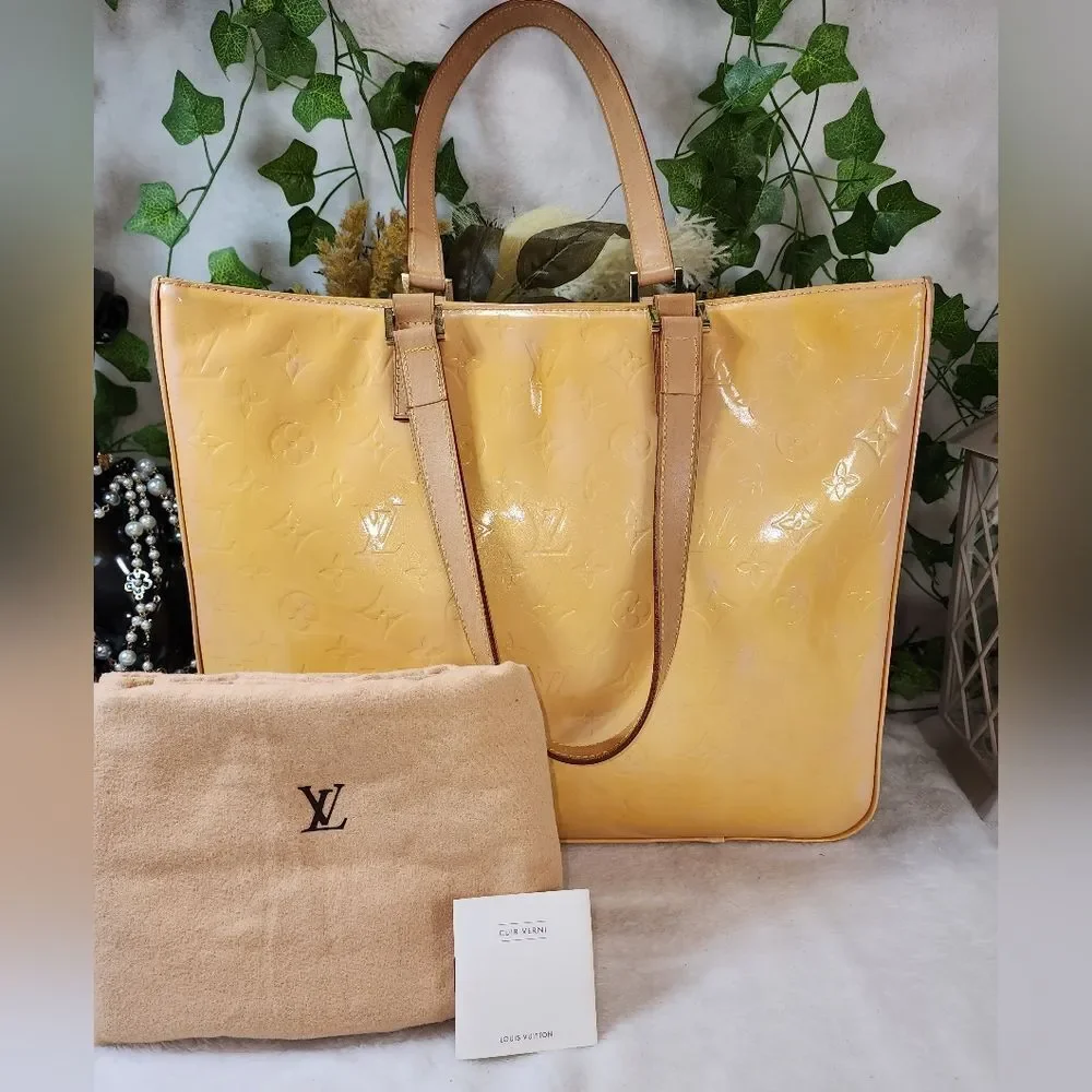 Louis Vuitton authentic louis